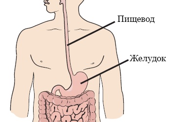 7 причин почему у женщины пропадает желание заниматься сексом объясняет Наташа Краснова