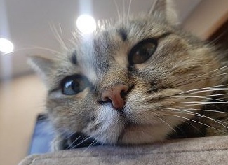 Cкорпионы попадут в финансовую авантюру а Раки встретят любовь гороскоп на неделю с 22 по 28 августа