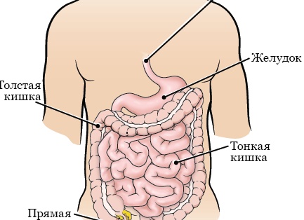 24 личности запертые в одном теле что скрывал маньяк Билли Миллиган