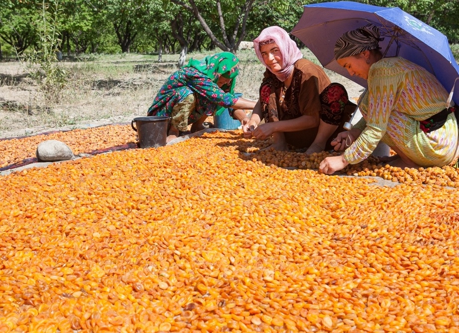 Что готовит 2020 год гороскоп для всех знаков зодиака от Лилии Любимовой